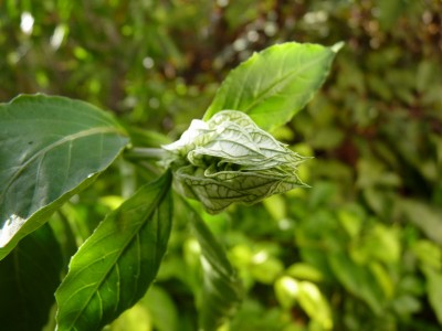 P1010969