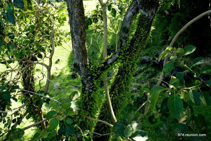 P1080837